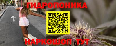 эйфоретик Обнинск
