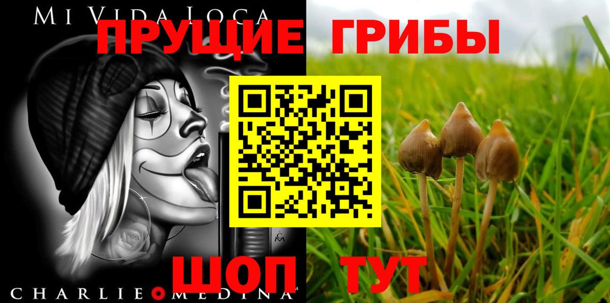 Саров  Псилоцибиновые грибы мицелий  Вход с VPN 